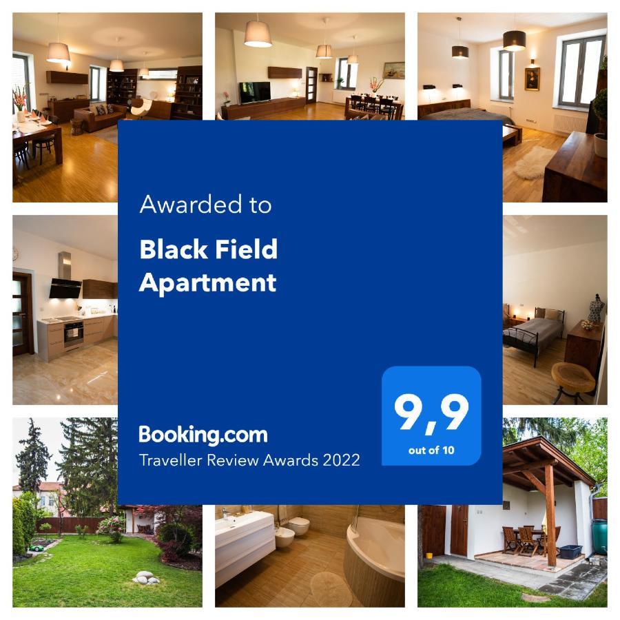 Black Field Apartment Брно Экстерьер фото